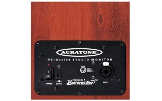 5C Active Super Sound Cube - Custom Wood-Grain